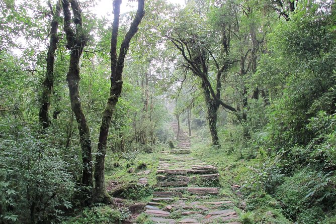 1-Day Private Dhampus Trekking Tour - The descent to Kande: faster legs, careful steps