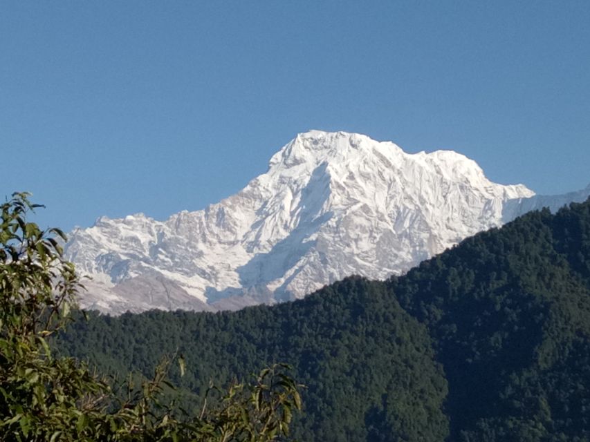 1 N 2 Days easy Dhampus,Australian camp trek from Pokhara - Dhampus Phedi to Dhampus Village: Gurung Culture Without the Crowds of a Long Trek
