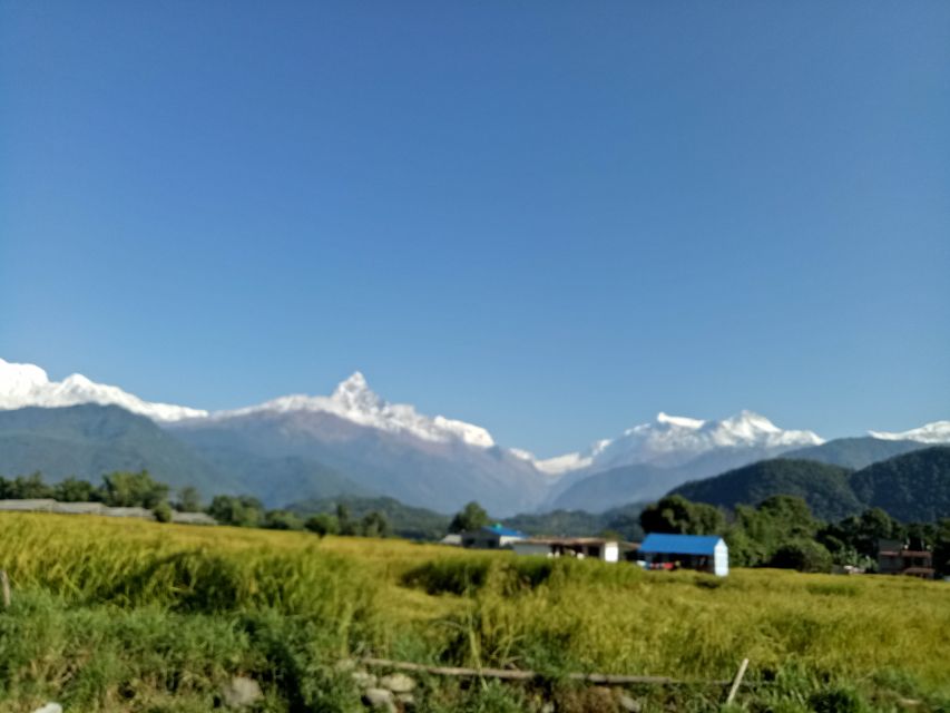 1 N 2 Days easy Dhampus,Australian camp trek from Pokhara - Weather, Fog, and How to Think Like a Trekker for 48 Hours