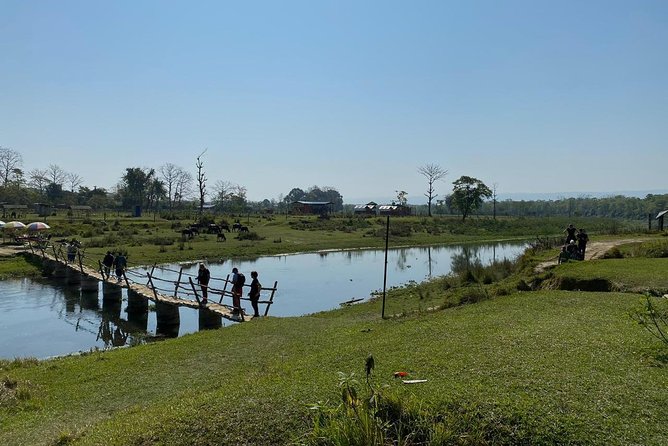 1 Night 2 Days Chitwan Jungle Safari Tour from Kathmandu - Day 1 evening pacing: where delays can hurt, and why people still enjoy it