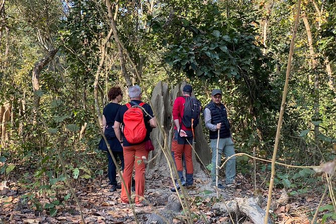 1 Night 2 Days Chitwan Jungle Safari Tour from Kathmandu - Price and value: what $155 buys you, and what it does not