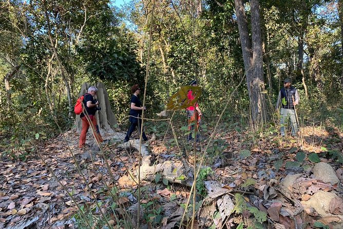 1 Night 2 Days Chitwan Jungle Safari Tour from Kathmandu - Practical tips to protect your experience
