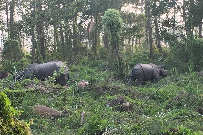 1 Night 2 Days Chitwan Jungle Safari Tour from Kathmandu - 6:30 am Kathmandu pickup, then the bus ride South