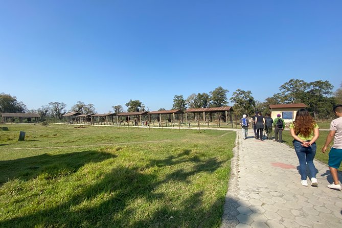 1 Night 2 Days Chitwan Jungle Safari Tour from Pokhara or Kathmandu - Day 2 bird-watching and the return bus to Kathmandu or Pokhara