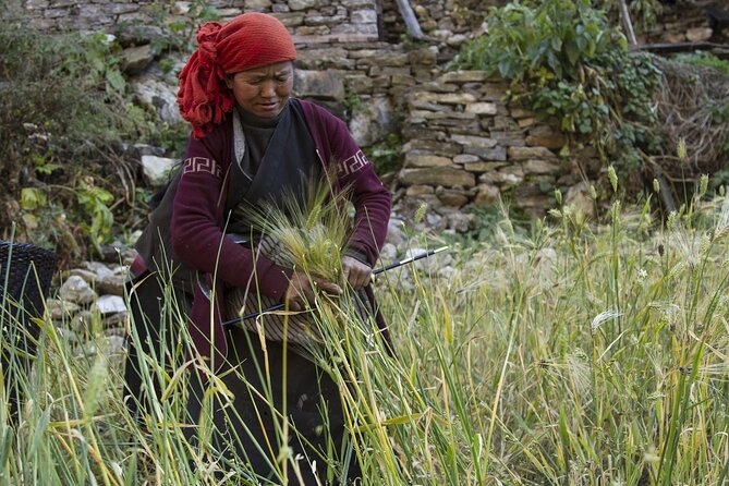 10 Days Manaslu Circuit Trek in Larke La Pass - Should you book this Manaslu Circuit trek with Larke La Pass?