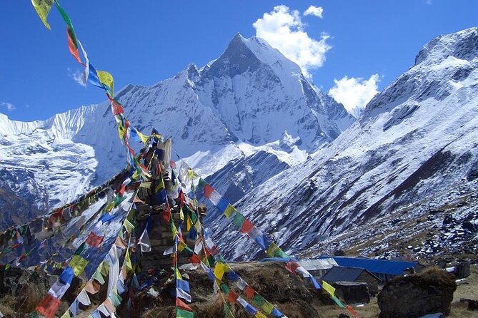11-Day Hike Tour to Annapurna Base Camp Bliss in Kathmandu - Deurali: Rhododendron Forest Trails And Modi Khola Rhythm