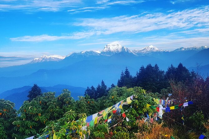 11-Day Hike Tour to Annapurna Base Camp Bliss in Kathmandu - Poon Hill Sunrise And The Route Toward Tadapani