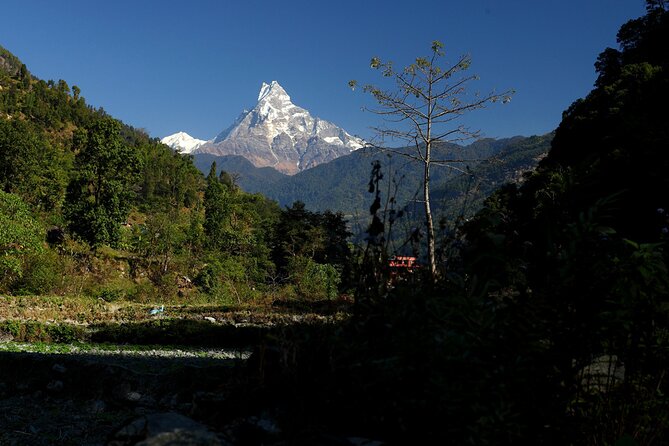 12-Day Nepal Adventure Trek with Jungle Safari - Kathmandu in a Single Morning: Swayambhunath to Pashupatinath