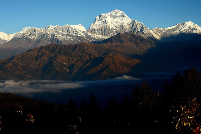 12-Day Nepal Adventure Trek with Jungle Safari - Bird watching and the drive back to Kathmandu