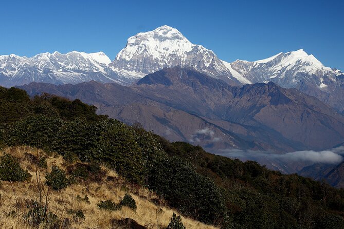 12-Day Nepal Adventure Trek with Jungle Safari - Breaking down the $950 value: what’s included, what costs extra