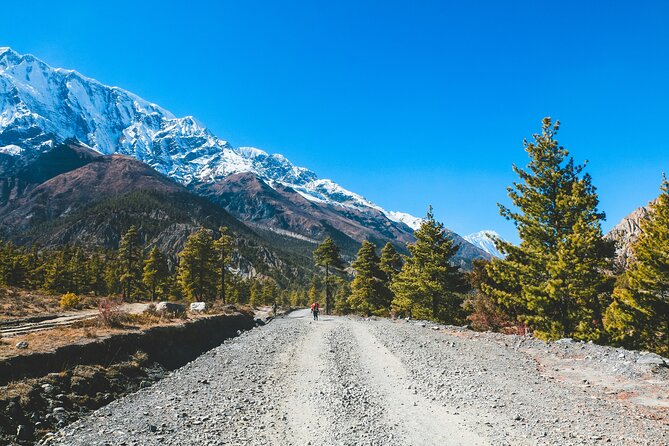 12 days Annapurna Circuit Trek - Day-by-day on the trail: what each stop feels like