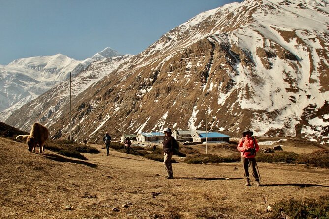 14 Days Annapurna Circuit Trek - Yak Kharka to Thorong Phedi: Barren Terrain and the Build-Up Phase