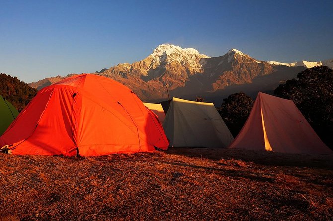 2-Day Private Trekking Tour to Australian Camp & Dhampus - Price and logistics: is $99 good value for this 2-day trek?