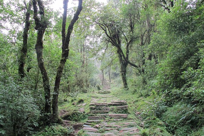 2-Day Private Trekking Tour to Australian Camp & Dhampus - The trail experience: forests, farms, villages, then viewpoint magic