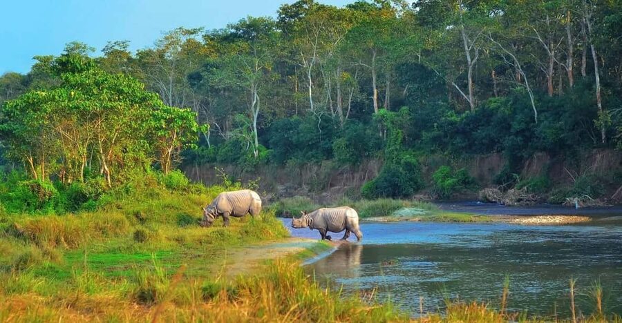 2 Days Chitwan Jungle Safari Tour from Pokhara/Kathmandu - Key highlights to know before you go