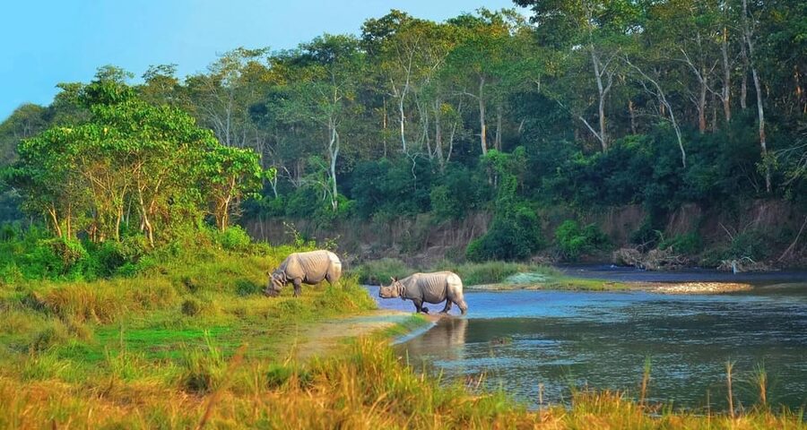 2 Days Chitwan Jungle Safari Tour from Pokhara/Kathmandu - Day 1 in Chitwan: Jeep safari, rhino chances, and a Tharu night