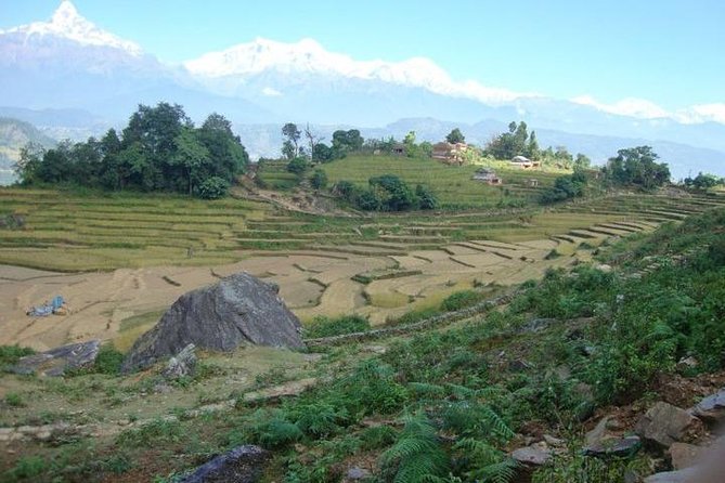 2 Days Panchase Hill Trek from Pokhara - What to Expect on the Trail: Time, Terrain, and Mindset