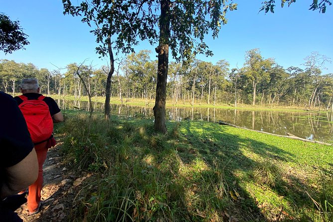 2 Hours Nature Walk in Chitwan National Park - Key highlights that make this Chitwan walk work
