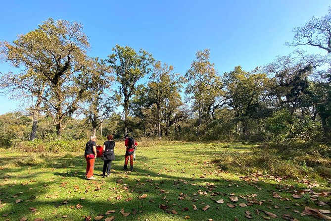 2 Hours Nature Walk in Chitwan National Park - Why a 2-hour Chitwan nature walk is a smart use of your time
