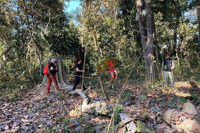 2 Hours Nature Walk in Chitwan National Park - Walking inside Chitwan National Park: what the 2 hours feel like