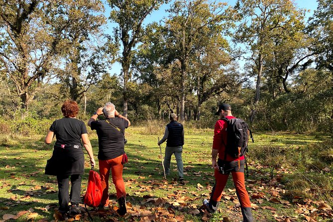 2 Hours Nature Walk in Chitwan National Park - Sauraha pickup and entry details that cut hassle