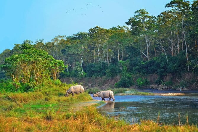 2 Night 3 Day Chitwan Jungle Safari Tour from Pokhara - Key things I’d circle before you book