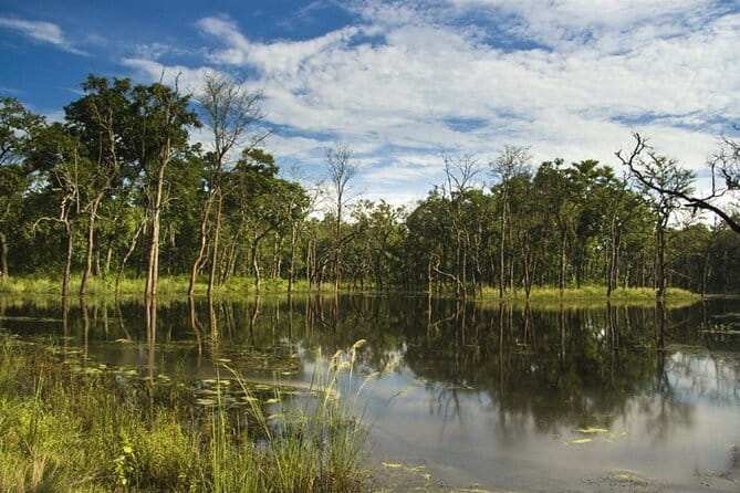 2 Night 3 Day Chitwan Jungle Safari Tour from Pokhara - Chitwan in 3 Days: What This Tour Is Really About