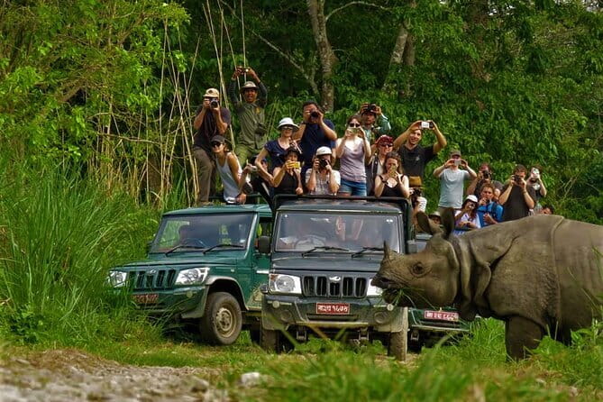 2 Night 3 Day Chitwan Jungle Safari Tour from Pokhara - Day 2 Jeep Safari: How You Get the Best Wildlife Odds