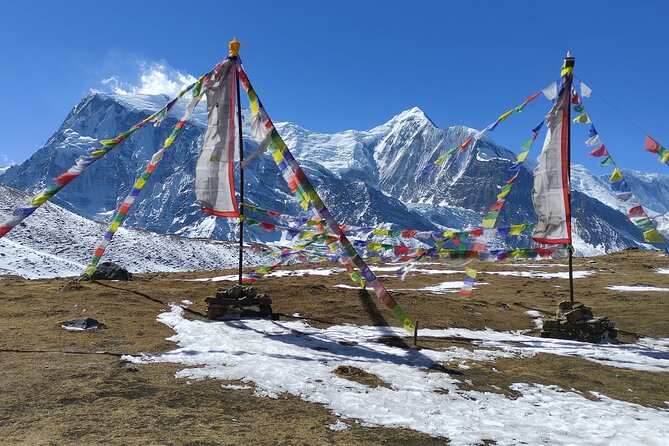 20 Days Annapurna Circuit Trek - Chame and Pisang: the vegetation change you can feel in the air