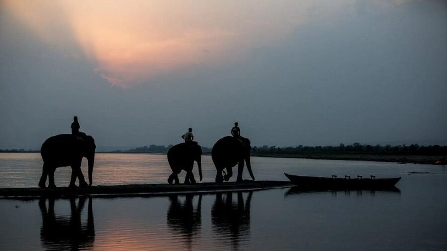 3-Day Chitwan Jungle Safari Adventure From Kathmandu/Pokhara - Accommodation and Comfort in the Sauraha Area