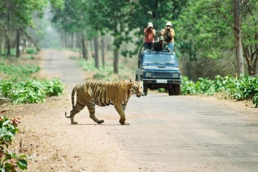 3-Day Chitwan Jungle Safari Adventure From Kathmandu/Pokhara - Getting From Kathmandu or Pokhara to Sauraha Without Losing the Day
