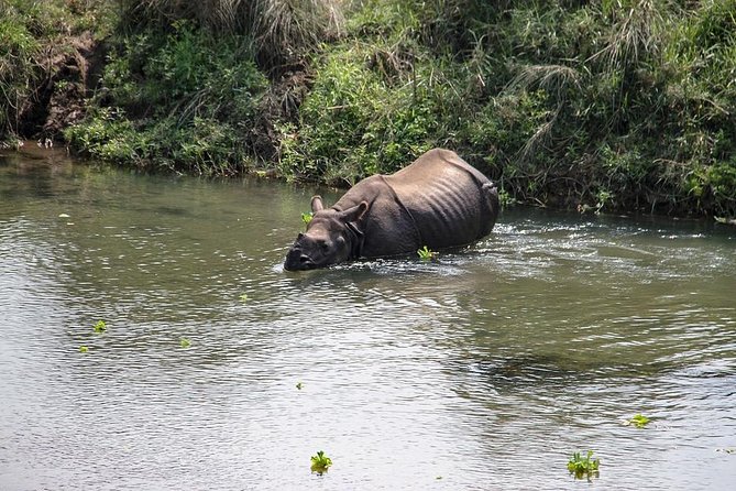 3-Day Chitwan Jungle Safari Tour from Kathmandu - Why Chitwan fits a 3-day break from Kathmandu