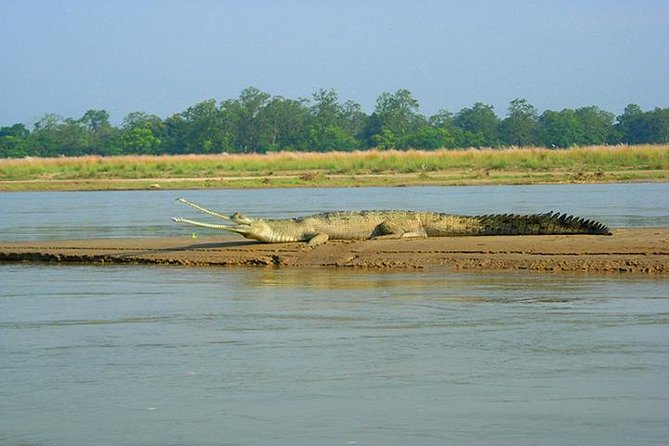 3-Day Chitwan Jungle Safari Tour from Kathmandu - Day 1: the long coach day, then Chitwan Tharu Village culture