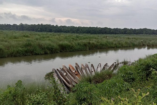3-Day Chitwan Jungle Safari Tour from Kathmandu - The wildlife reality check: rhinos, crocs, and the tiger odds