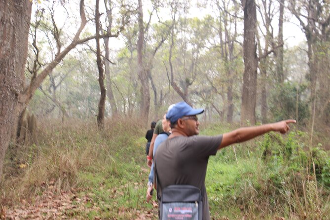 3-Day Chitwan National Park Jungle Safari Tour Package with Pick Up - Why Chitwan Works So Well for a 3-Day Trip