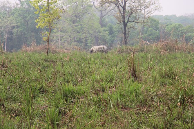3-Day Chitwan National Park Jungle Safari Tour Package with Pick Up - Day 1 Activities That Add More Than Photos