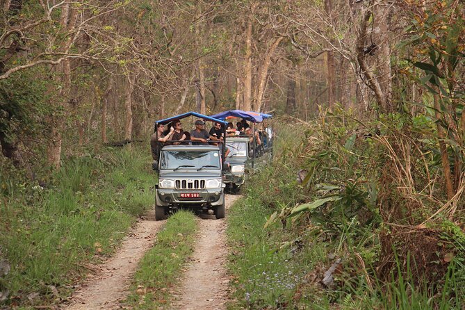 3-Day Chitwan National Park Jungle Safari Tour Package with Pick Up - Day 3: Morning Birdwatching, Then Back to Kathmandu