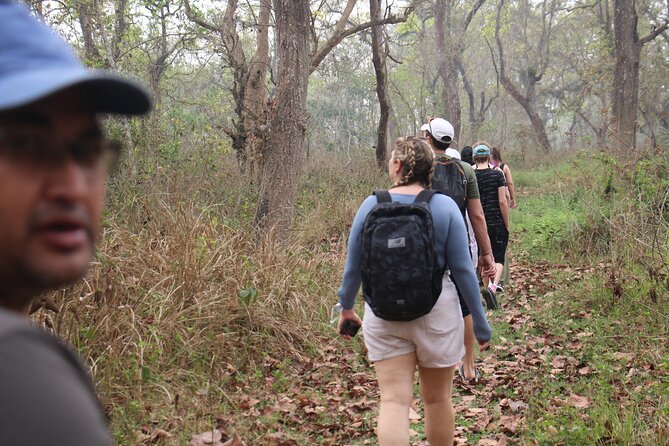 3-Day Chitwan National Park Jungle Safari Tour Package with Pick Up - Price and Value: What $180 Covers (and Why It Matters)