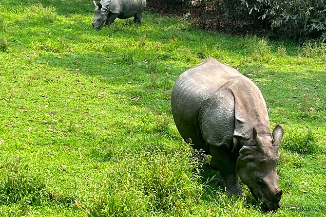 3-Day Guided Safari Tour in Chitwan National Park in Nepal - Kathmandu to Chitwan: the 5-hour road trip that sets the mood