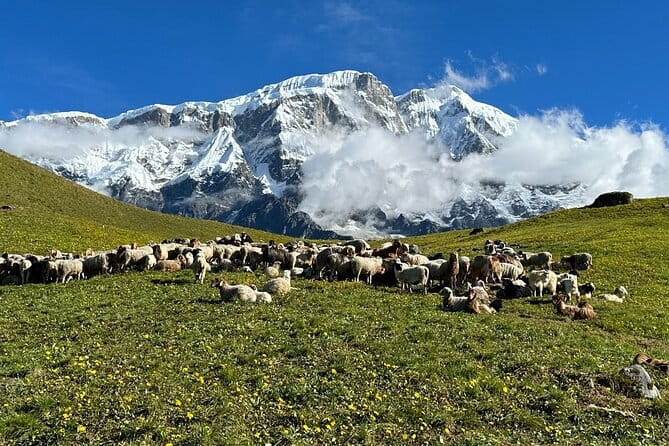 3 Day Kapuche Glacier Lake Trek with Siklesh from Pokhara - Day 3: A Leisurely Morning, Then Descent Back to Pokhara
