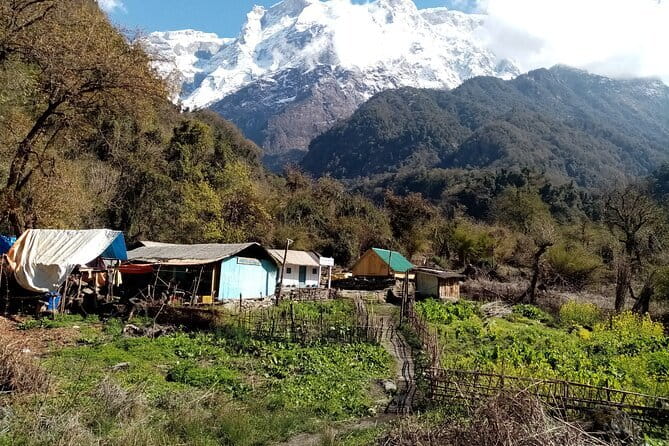 3 Day Kapuche Glacier Lake Trek with Siklesh from Pokhara - Guide, Transport, and the Small Details That Shape Your Mood