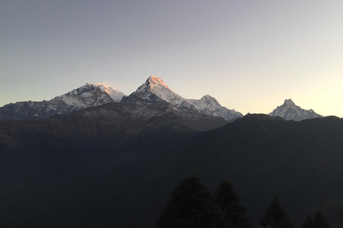 3-Day Poon Hill Trek from Pokhara. - Starting in Pokhara: Private Transport, Then Straight Into Mountain Mode