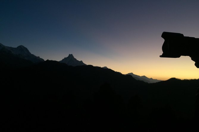 3-Day Poon Hill Trek from Pokhara. - Hiking Through Rhododendron, Rice Fields, and Villages on a Tight Schedule