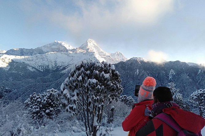 3-Day Poon Hill Trek from Pokhara. - Price and Logistics Value: Is $410 Worth It?