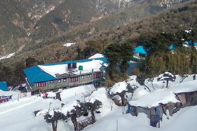 3 Days 2 Nights Poon Hill Trekking - Day 1: Uleri to Ghorepani, forests first, village next