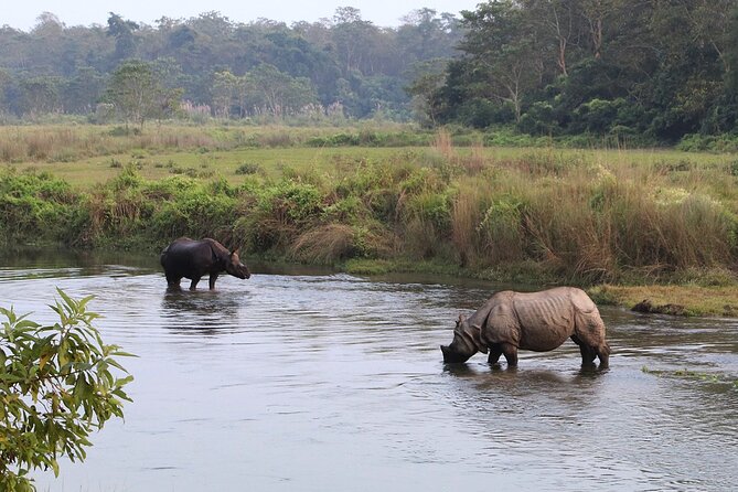 3 Days and 2 Nights Chitwan National Park Safari Tour in Pokhara - Price and value: is $215 per person fair for what’s included?