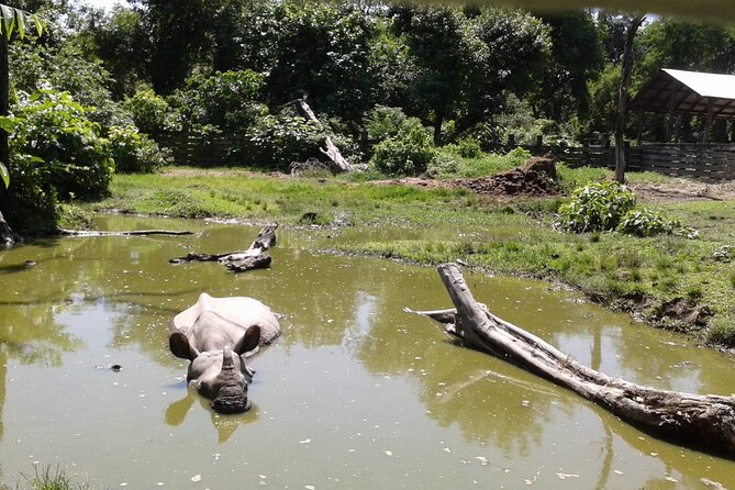 3 Days and 2 Nights Chitwan National Park Safari Tour in Pokhara - Logistics that matter: small group size, timing, and transfers