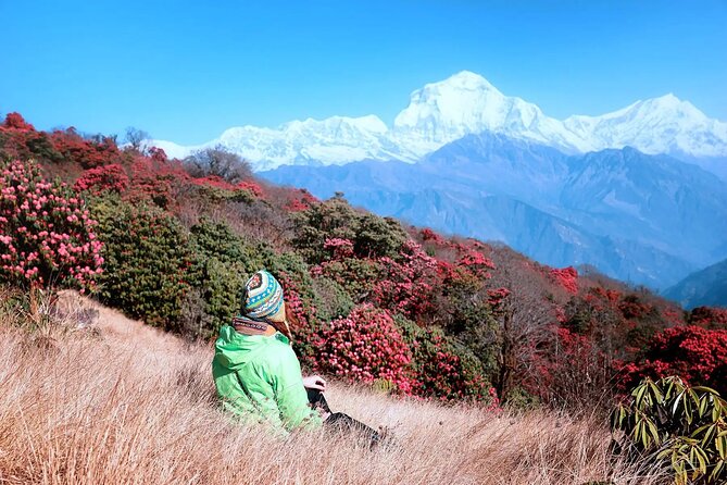 3 Days Ghorepani and Poonhill Private Trek from Pokhara - The Pace: Moderate Fitness, Short Duration, and Real Altitude Gains