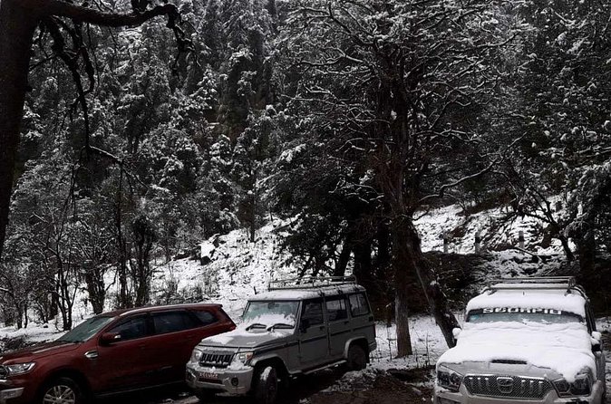 3 Days Kalinchowk Trekking from Kathmandu - Accommodation style: guesthouses, tea houses, and what that really means