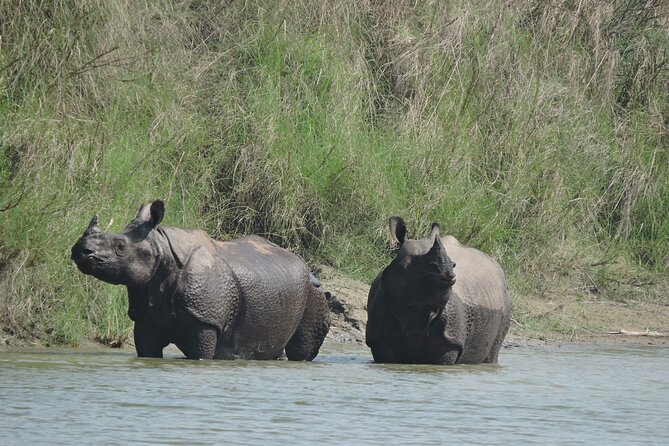 3 Nights 4 Days Bardia Tiger Tracking Tour | Bardia Jungle Safari - Key highlights you should care about